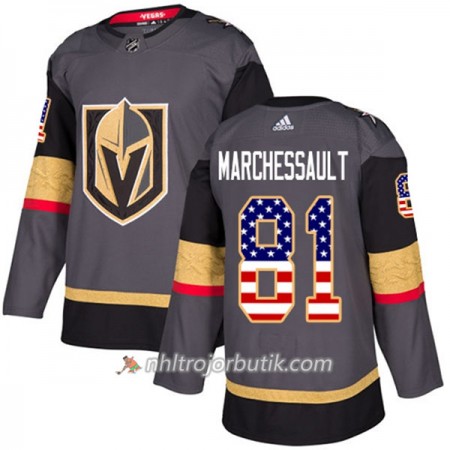 Män Ishockey Vegas Golden Knights Tröja Jonathan Marchessault 81 Adidas 2017-2018 Grau USA Flag Fashion Authentic